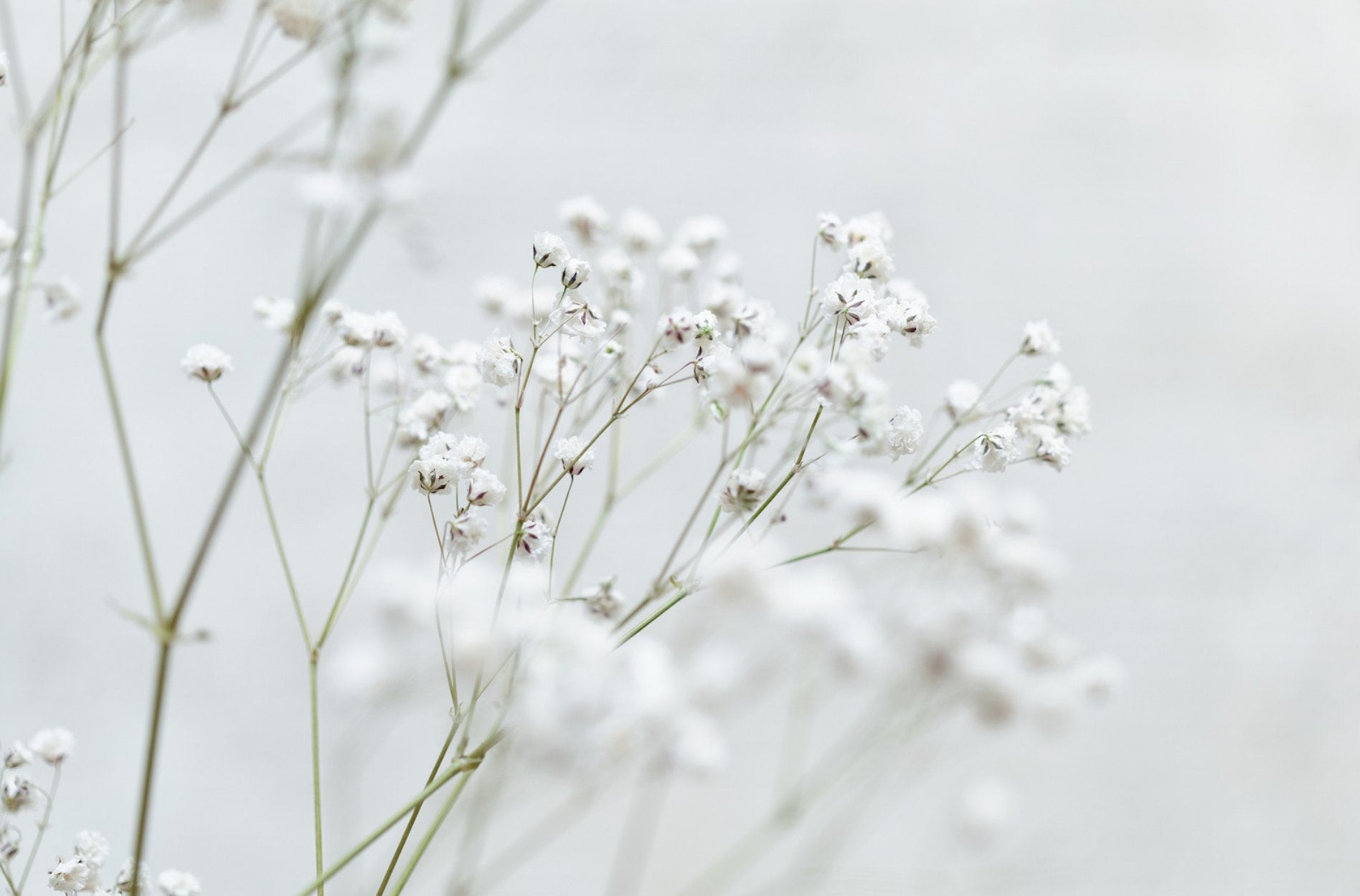 Blumenkränze